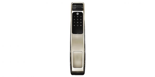 YMG40